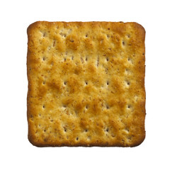 SINGLE CHEESE CRACKER BISCUIT ISOLATED ON WHITE BACKGROUND