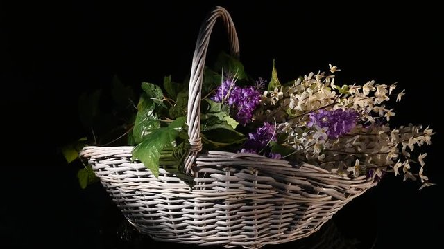 Small purple flowers in a wicker basket rotate isolated on a black background