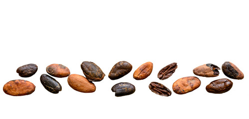 Cocoa beans isolated on white background.