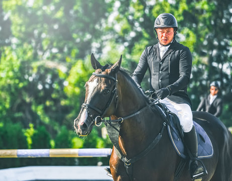 Showjumping competition, bay horse and rider in black uniform performing jump over the bridle. Equestrian sport background. Beautiful horse portrait during show jumping competition.