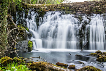 Fototapeta premium waterfall in a river 