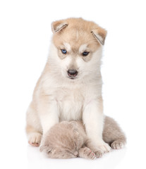 Obraz premium Husky puppy embracing sleeping kitten. isolated on white background