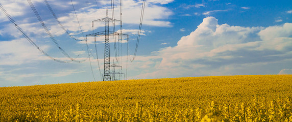 Hochspannungsmast im Sonnenlicht Rapsfeld vor blauem Himmel