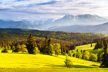Evening light in spring. Sunset in Tatra Mountains, Poland