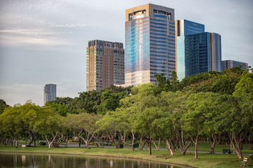 modern buildings in the park