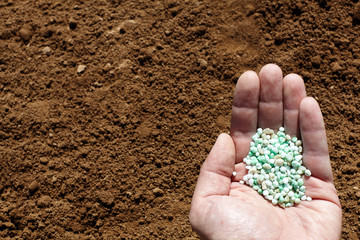 Hand holding chemical fertilizer on soil background.