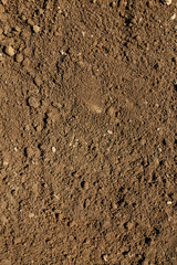 Soil texture background.