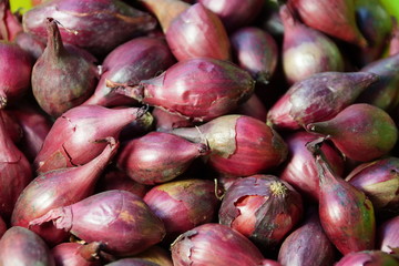 tubers bulbs. red onion. it's time to plant the farm. texture background
