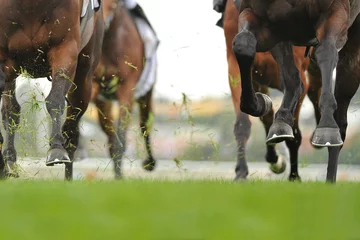 Fotobehang Horse racing action © quentinjlang
