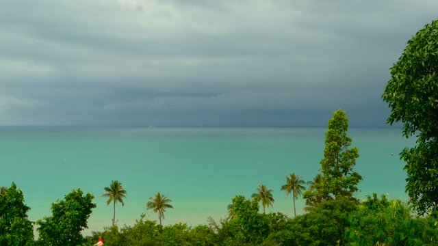 Paradise island exotic beach, tropical plants before rain swaing in the wind. Bright juicy green coconut palm trees against a tuquoise blue sea background. Ocean coast line landscape. Fairytale resort