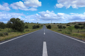 Asphalt road through the green field. Alentejo, Portugal