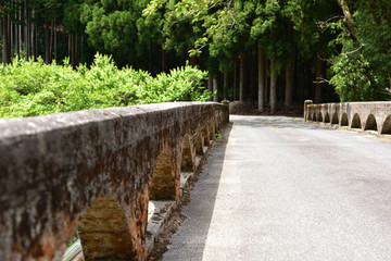 Fototapeta na wymiar 日本の山の中の橋