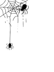 spider and web