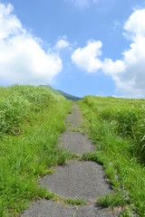 Obraz premium 草千里