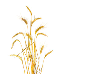 Fototapeta premium Ears wheat on white background with space for text.Top view, flat lay.