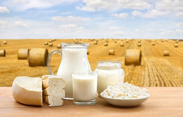 Milk, cheese, cottage cheese and sour cream on wooden table on a background field with straw bales after harvest