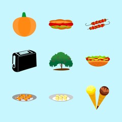 icons about Food with kitchen, toaster, ice, kebab and big
