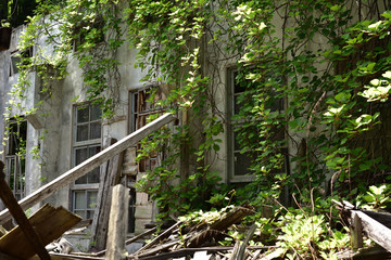 日本の山の中の廃虚