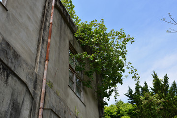 日本の山の中の廃虚