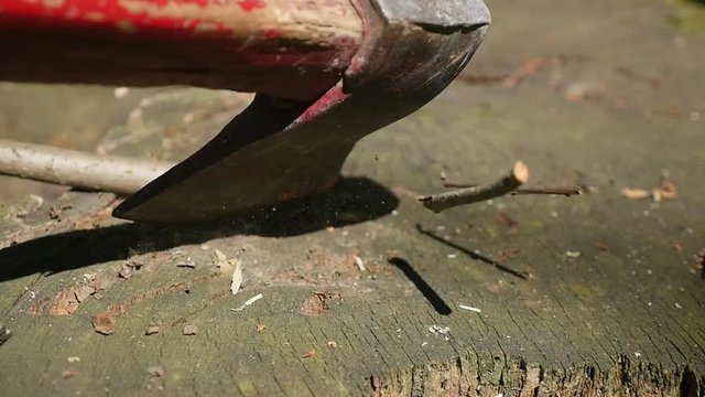 An ax in a stump on the background in the forest