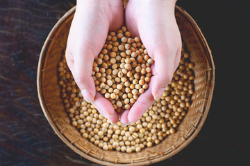 Soybean nontoxic