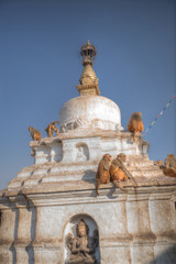 Obraz premium Swayambhunath Stupa