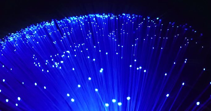 detail of blue, purple violet growing bunch of optical fibers background, fast light signal for high speed internet connection, change color from blue to violet fade effect movement