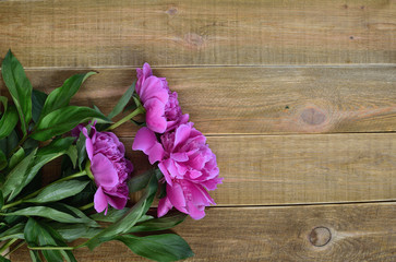 Bouquet of pink peonies  on wooden background.