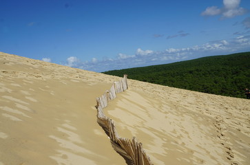 Dune du pilat, Bordeaux, France. With wooden fence and green forest.