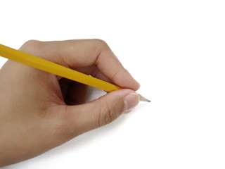 hand holding a pencil with white background