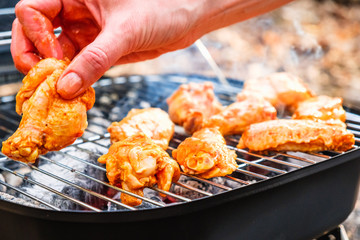 Smokehouse stands on the grass in a summer garden.