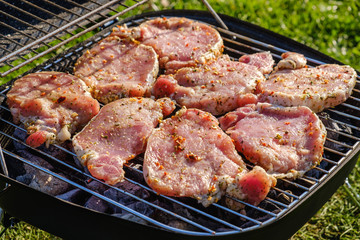 Top view of fresh meat and vegetable on grill placed on grass.
