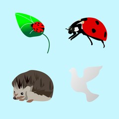 icons about Animal with love, legs, painting, urchin and flower