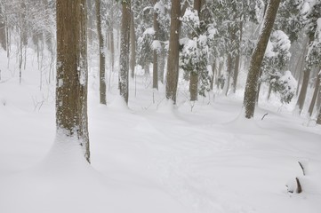 豪雪の山地を歩く