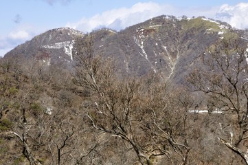残雪の丹沢山地 蛭ヶ岳と不動ノ峰