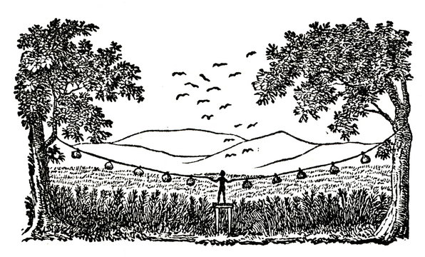 Man from Cumbry people deployed scarecrows around his cereal field; Middle Niger Region, Northern Nigeria,  Western Africa (from Das Heller-Magazin, October 23, 1834)