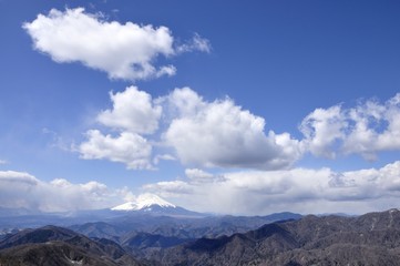 Fototapeta premium 富士山と白雲