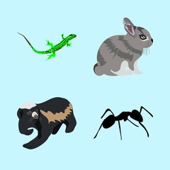 icons about Animal with celebration, flat, salamander, bunny and art