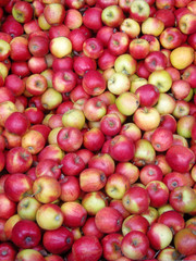 Äpfel
