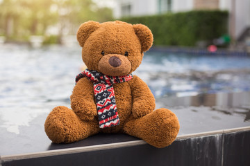 Teddy bear resting at swimming pool.