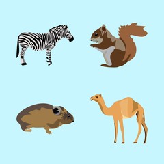 icons about Animal with zoology, greeting, walk, cartoon and vintage