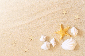 Fototapeta na wymiar Seashells and starfish on the sand background. Summer beach.