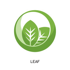 leaf logo png isolated on white background , colorful vector icon, brand sign & symbol for your business