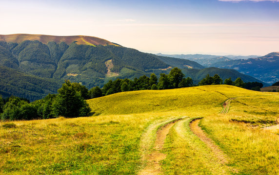 country road through grassy hillside. lovely summer scenery of Carpathian mountains. Apetska mountain in the distance