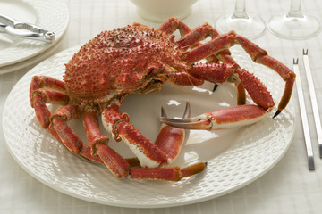 Whole cooked spider crab © Picture Partners
