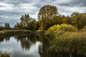 Fototapeta na wymiar Kazakhstan Uralsk Autumn in the park of Kirov