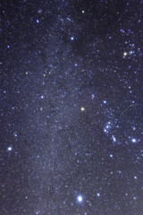 Fototapeta premium 冬の星空 星座