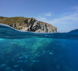 Mediterranean sea rocky coast split view above and below water surface with a shoal of fish underwater, Marine reserve of Cerbere Banyuls, Pyrenees Orientales, France