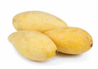 mangos on white background