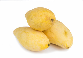 mangos on white background